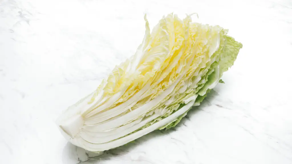 白菜
