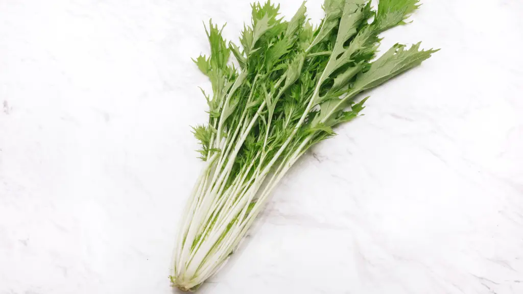 水菜