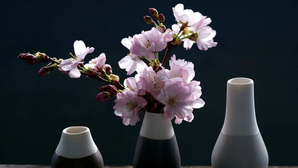 サクラ,桜